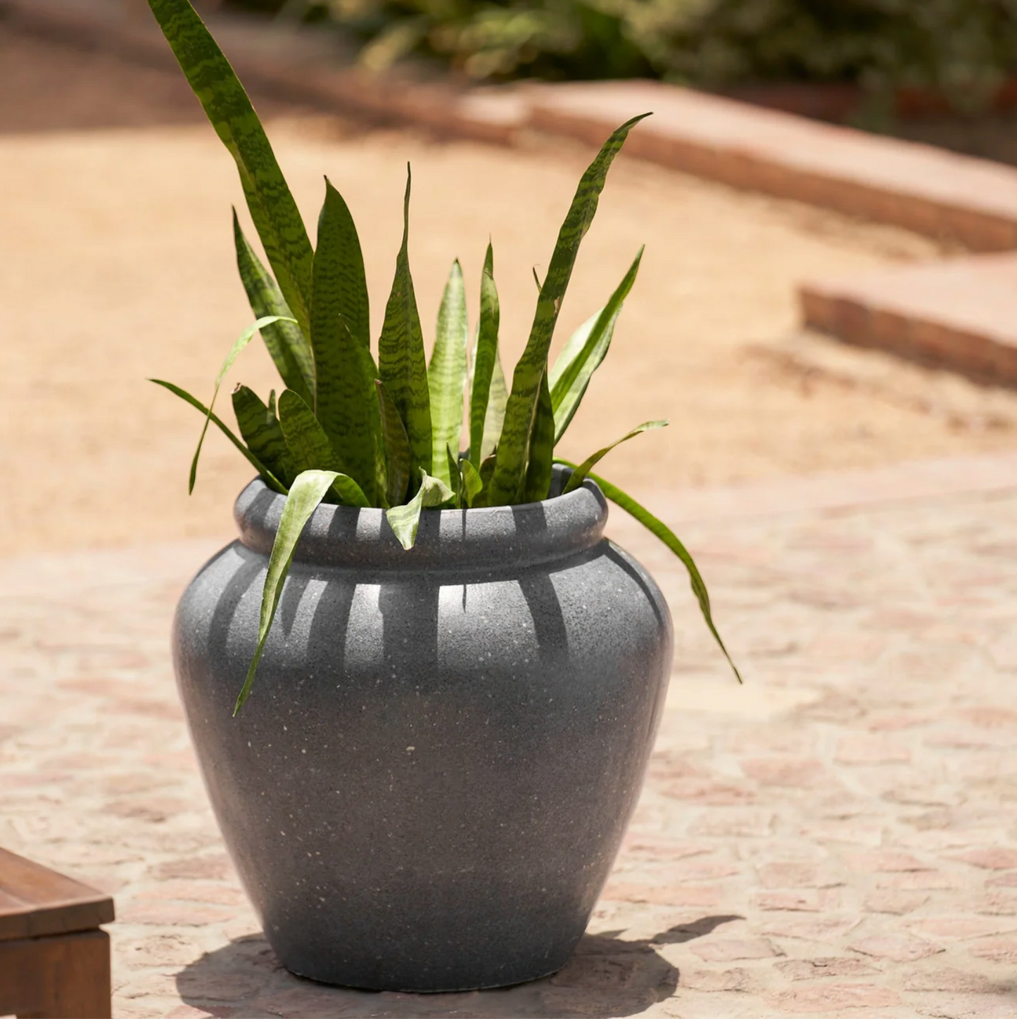 Rustic Tuscan Planter | Dark Grey