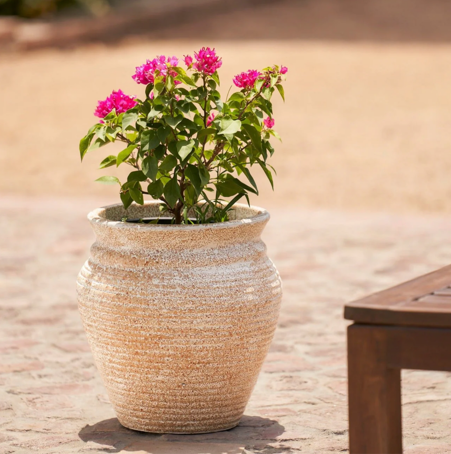 Rustic Capri Planter | Beige
