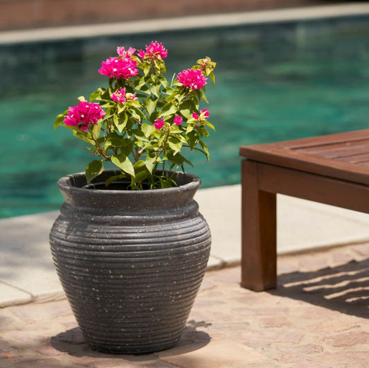 Rustic Capri Planter | Dark Grey