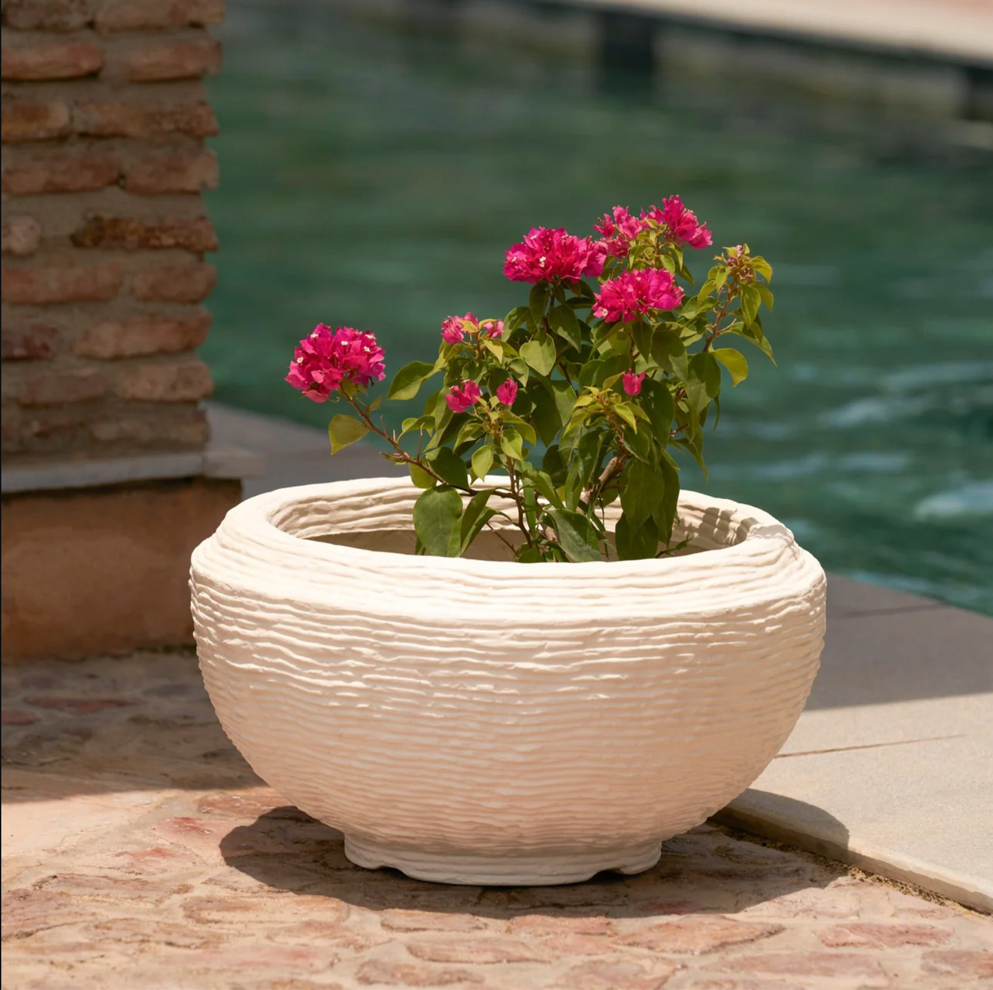 Kiro Planter Bowl | Size & Colours Available
