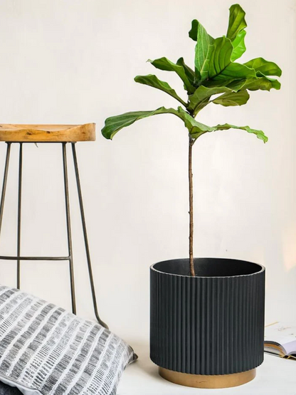 Large Fluted Planter With Base