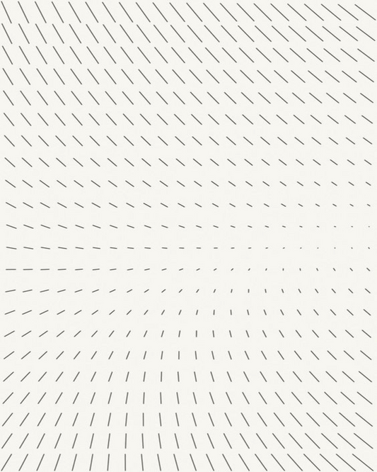 Fusion Reversible Rug