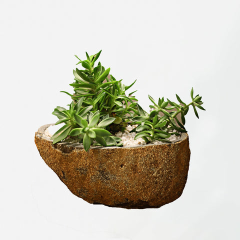 Boulder Planter