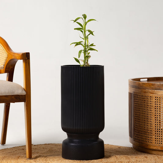 Lily Planter - Black - Ripples Home