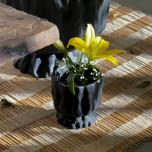 Raya Organic Planter
