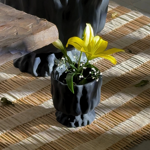 Raya Organic Planter