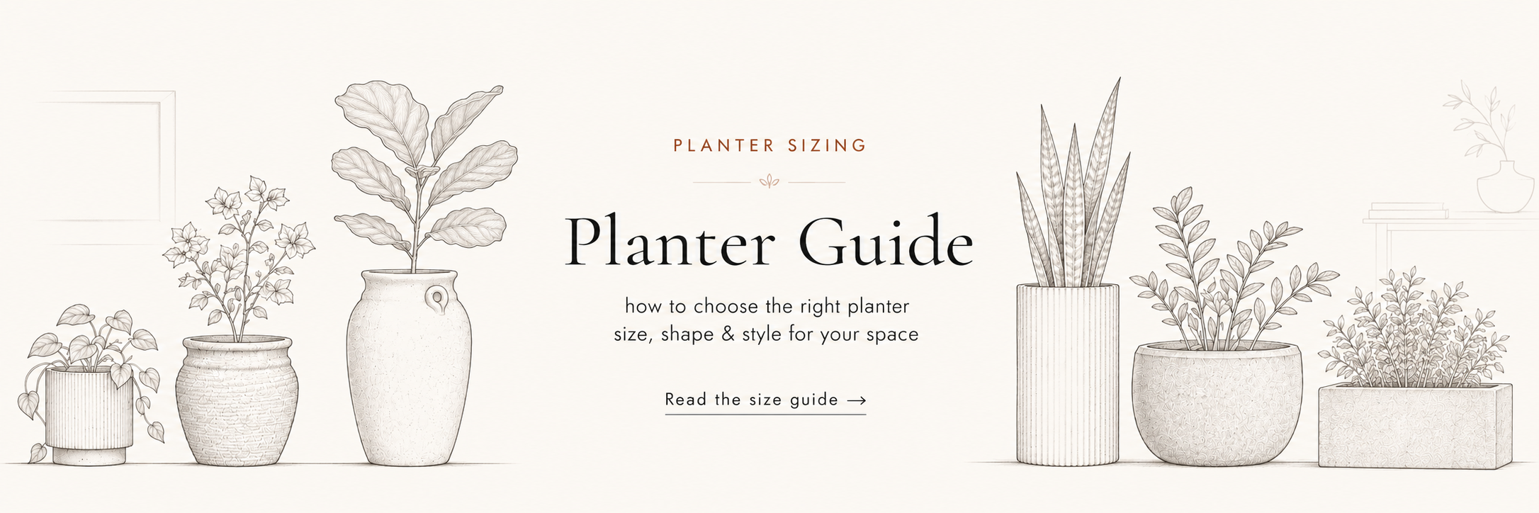 Planter size guide and buying guide for choosing planters in India