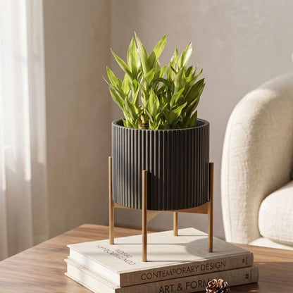 Small Fluted Planter With Stand