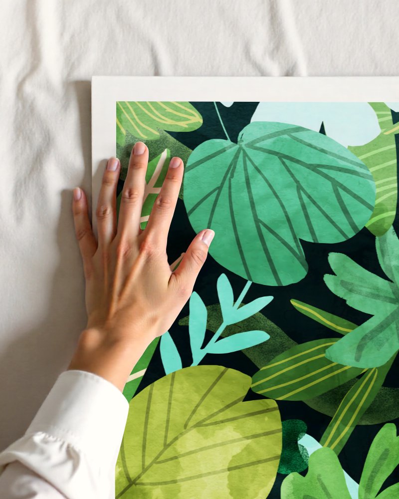 Rainforest II