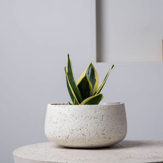 Concrete Modern Vessel Planter - White
