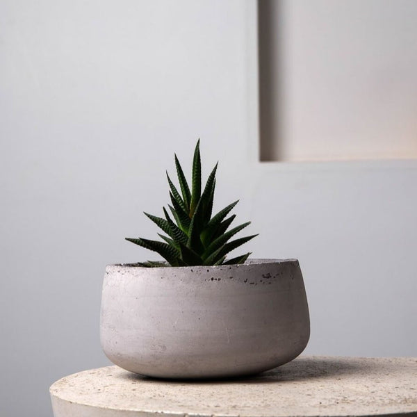 Concrete Modern Vessel Planter - Grey