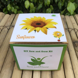 DIY Home Gardening Kit - Sunflower