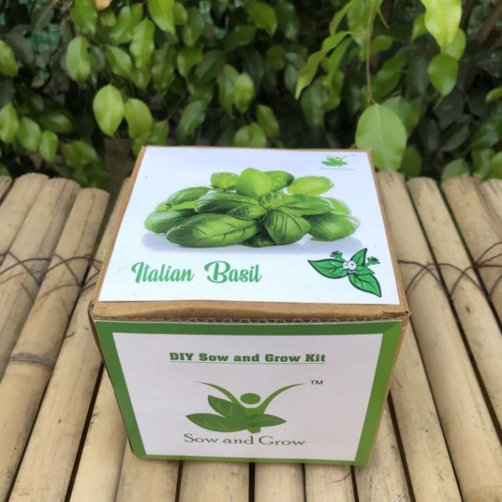 DIY Home Gardening Kit - Italian Basil