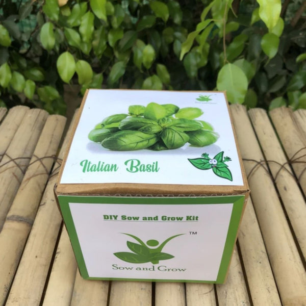 DIY Home Gardening Kit - Italian Basil
