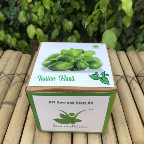 DIY Home Gardening Kit - Italian Basil