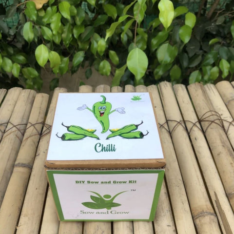 DIY Home Gardening Kit - Chilly