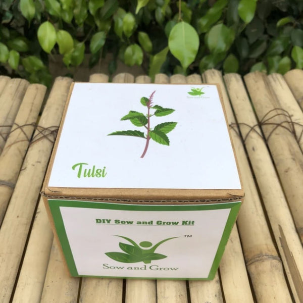 DIY Home Gardening Kit - Tulsi/Holy Basil