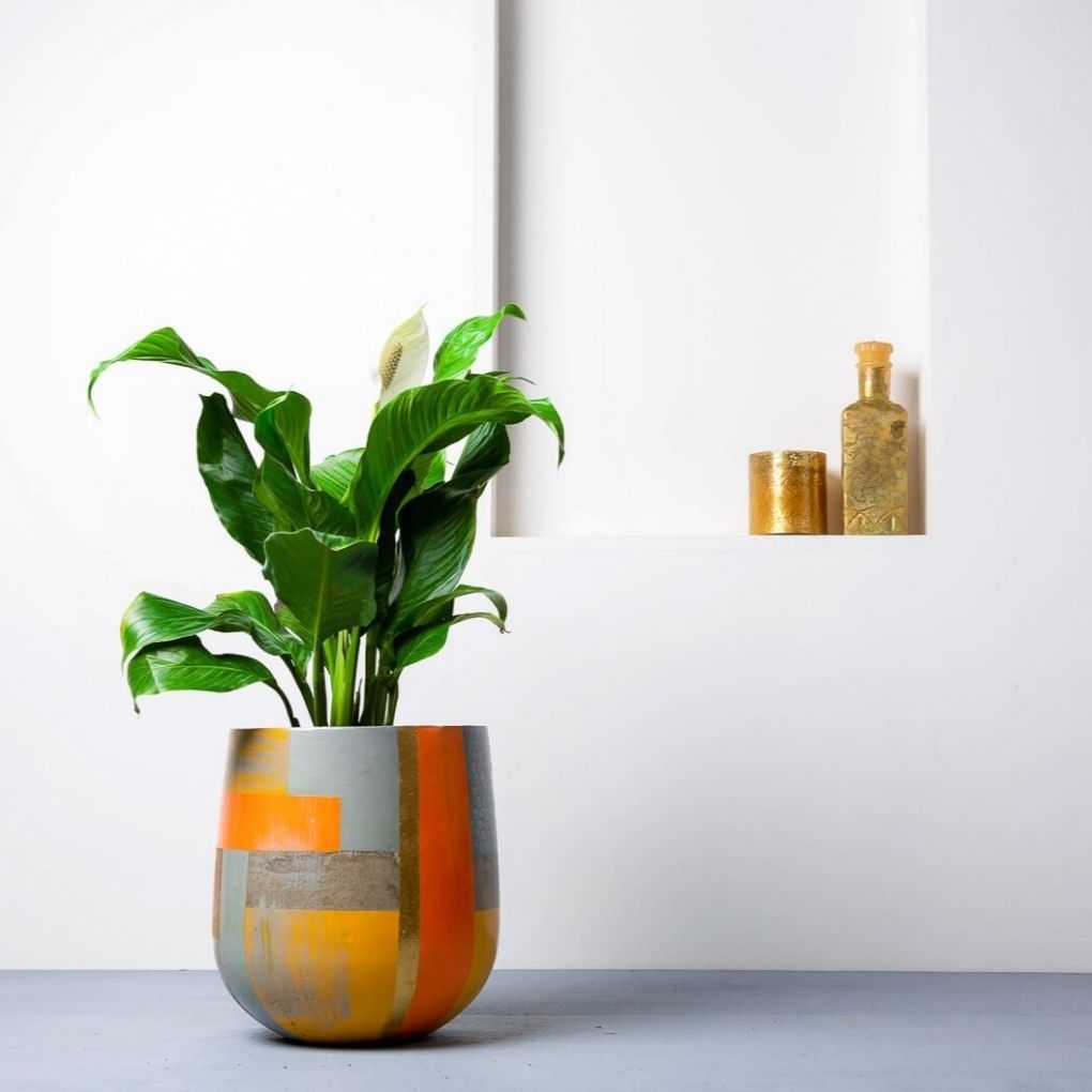 Medium Concrete Ovate Planter - Multi Colour
