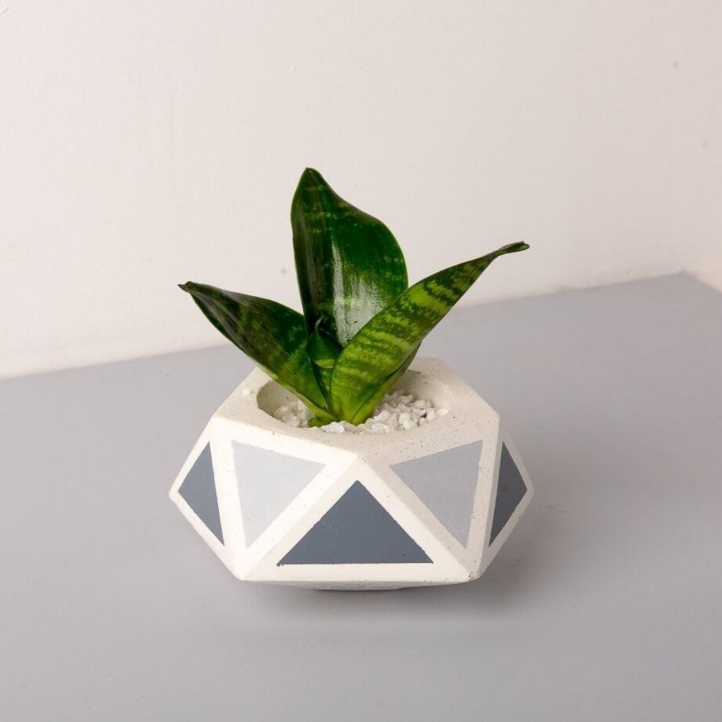 Small Concrete Floater Planter - Grey