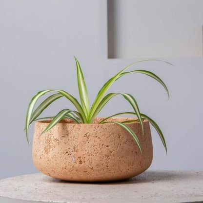 Concrete Modern Vessel Planter - Blush Pink