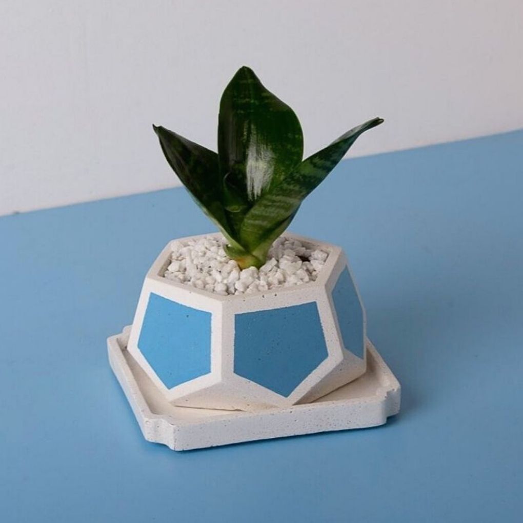 Small Concrete T-Mark Planter With Base - Blue