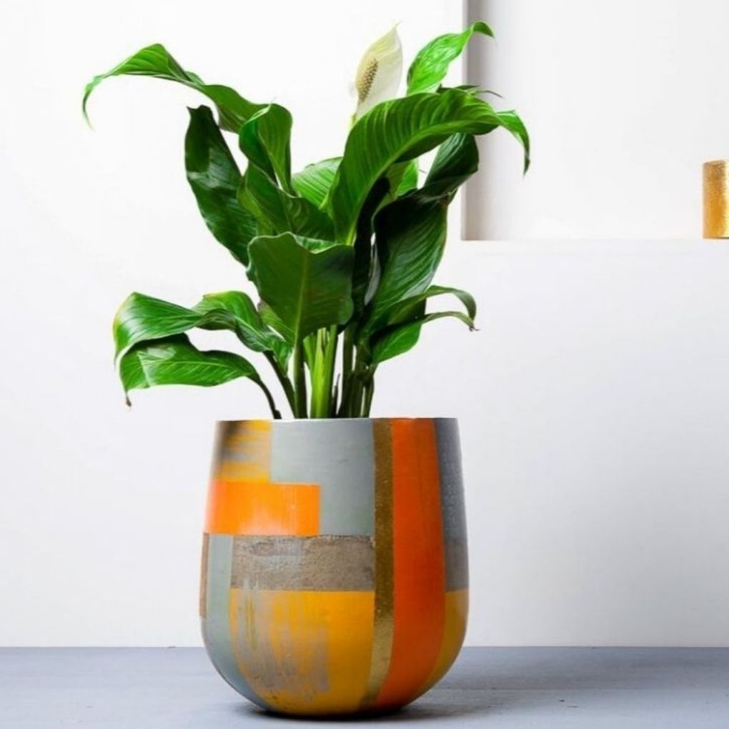 Medium Concrete Ovate Planter - Multi Colour