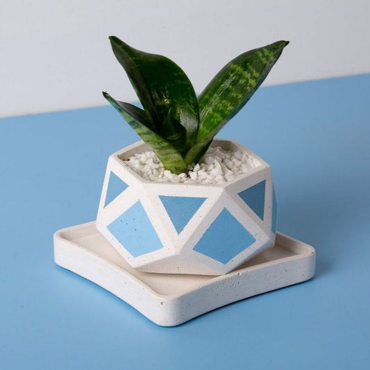Small Concrete Hexamont Planter With Base - Blue