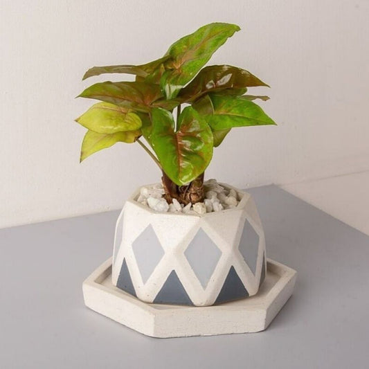 Small Concrete Diamante Planter With Base - Grey