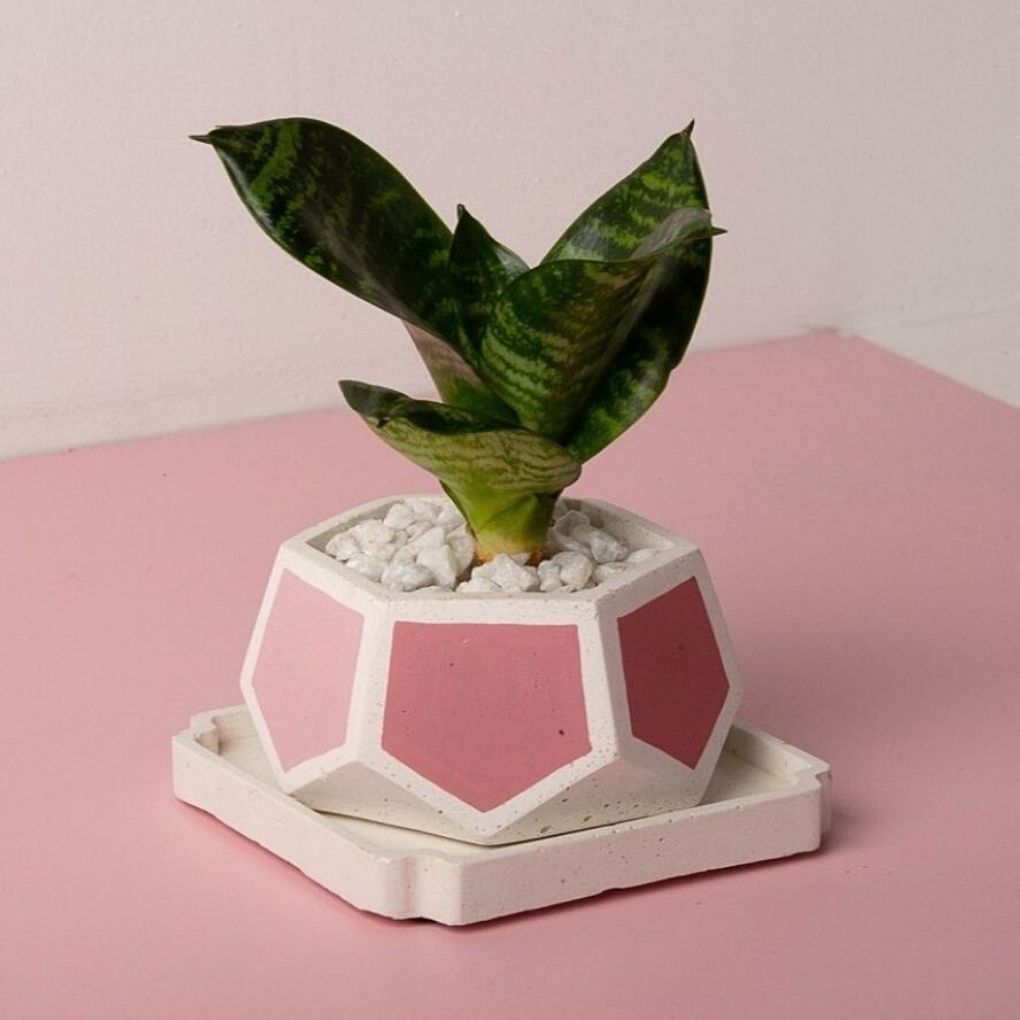 Small Concrete T-Mark Planter With Base - Pink