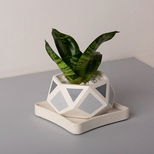Small Concrete Hexamont Planter With Base - Grey