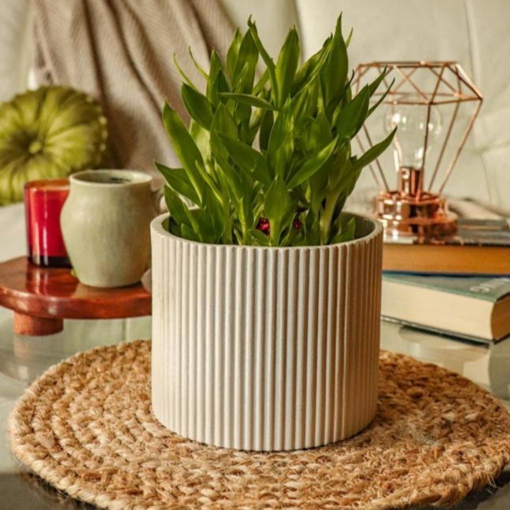 Small Fluted Planter - Beige
