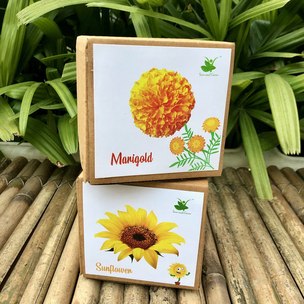 DIY Home Planting Flower Kit | Marigold + Sunflower