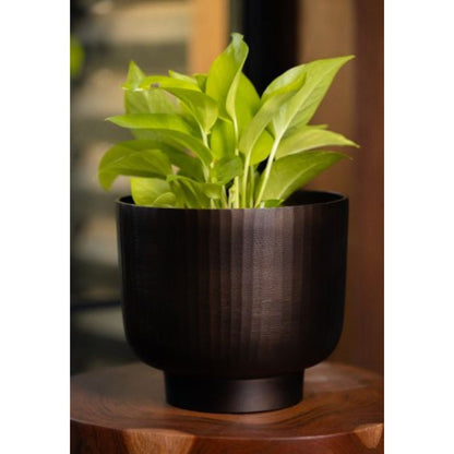 Fluted Chocolate Metal Planter | Size Options Available