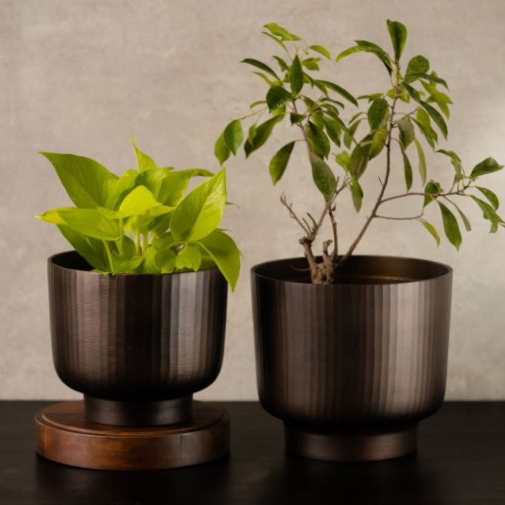 Fluted Chocolate Metal Planter | Size Options Available