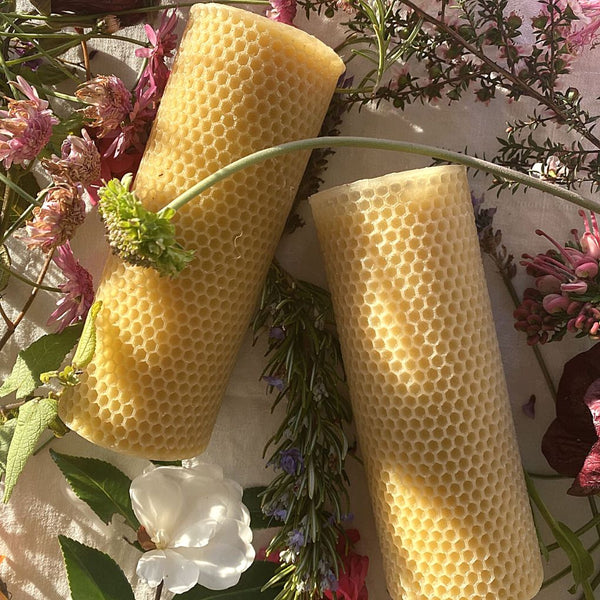 Lumos 100% Pure Beeswax Pillar Candle | Box of 2 Pillars