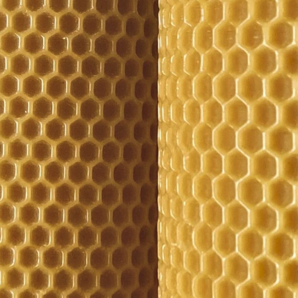 Lumos 100% Pure Beeswax Pillar Candle | Box of 2 Pillars