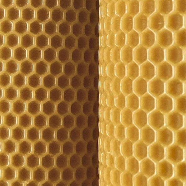 Lumos 100% Pure Beeswax Pillar Candle | Box of 2 Pillars