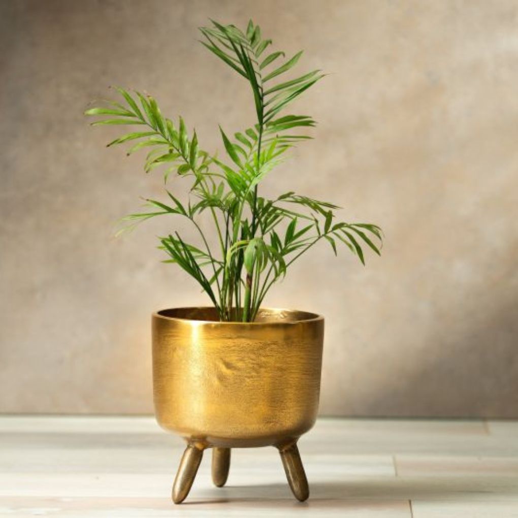 Rustic Gold Metal Planter | Small