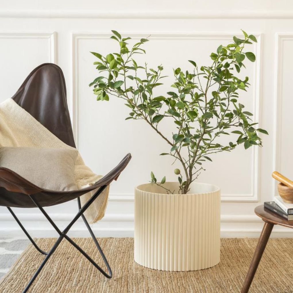 Extra Large Fluted Planter | Colours Available