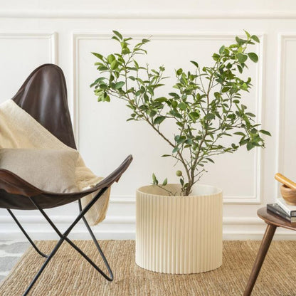 Extra Large Fluted Planter | Colours Available