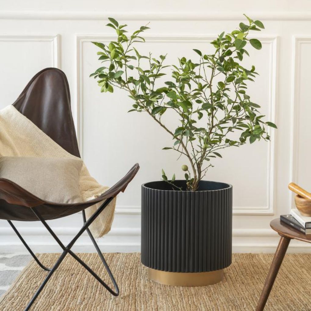 Extra Large Fluted Planter With Base | Colours Available