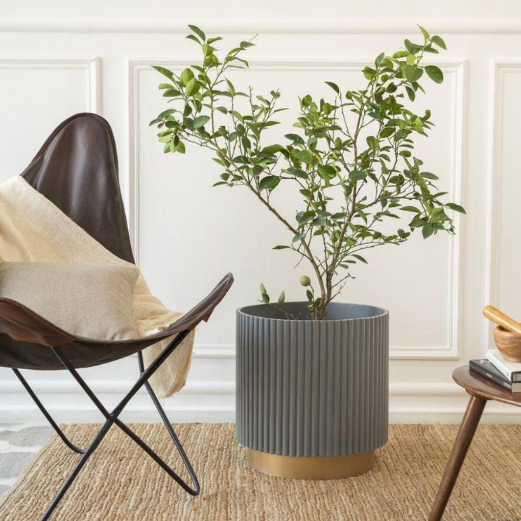 Extra Large Fluted Planter With Base | Colours Available
