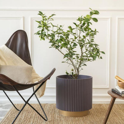 Extra Large Fluted Planter With Base | Colours Available