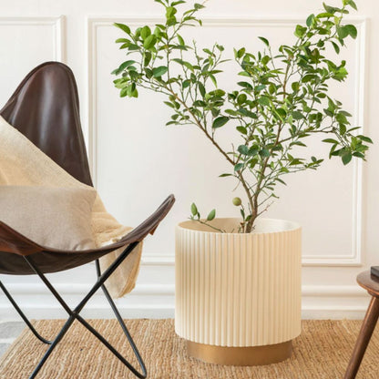 Extra Large Fluted Planter With Base | Colours Available