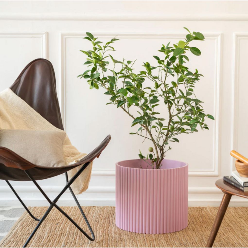 Extra Large Fluted Planter | Colours Available