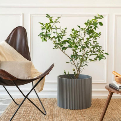 Extra Large Fluted Planter | Colours Available