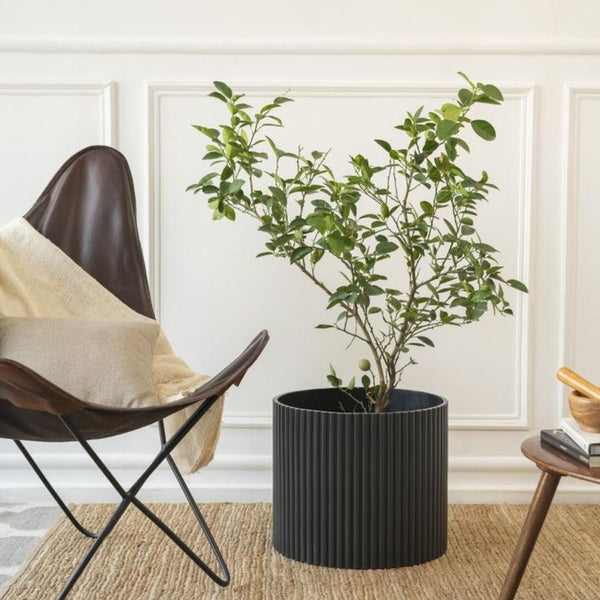 NEW IN - Extra Large Fluted Planter | Colours Available