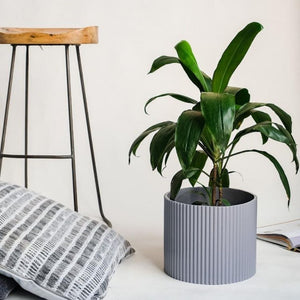 Medium Fluted Planter - Grey