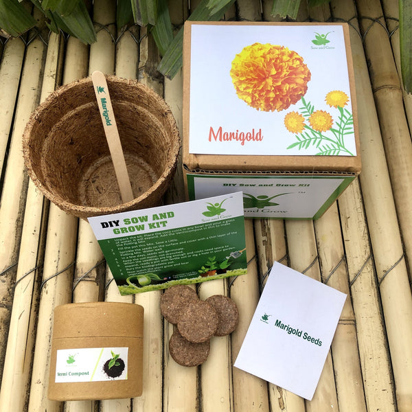 DIY Home Planting Flower Kit | Marigold + Sunflower