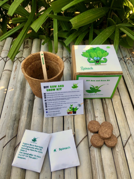 DIY Home Gardening 4 Greens Kit | Mint + Coriander + Italian Basil + Spinach